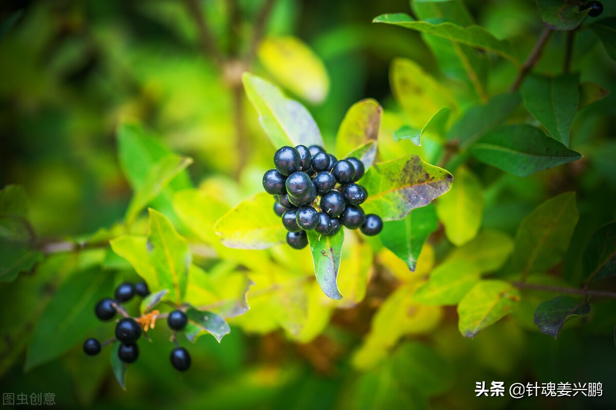 前列腺炎盯上司机,远离3个关键诱因,有机会彻底治愈