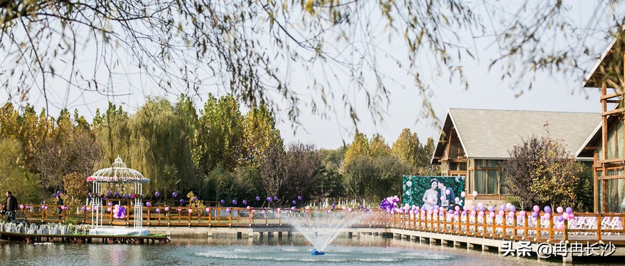 深圳富华医疗美容医院点评,深圳富华医疗美容医院哪个医生好