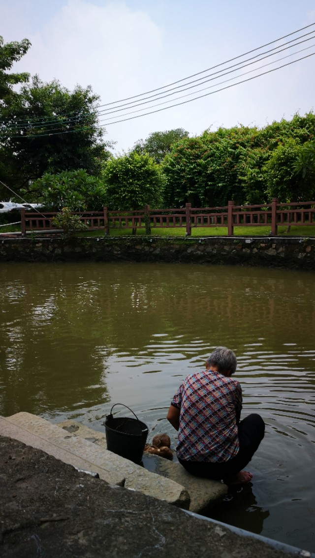 顺德逢简水乡有什么好玩的地方,顺德杏坛逢简水乡一日游攻略