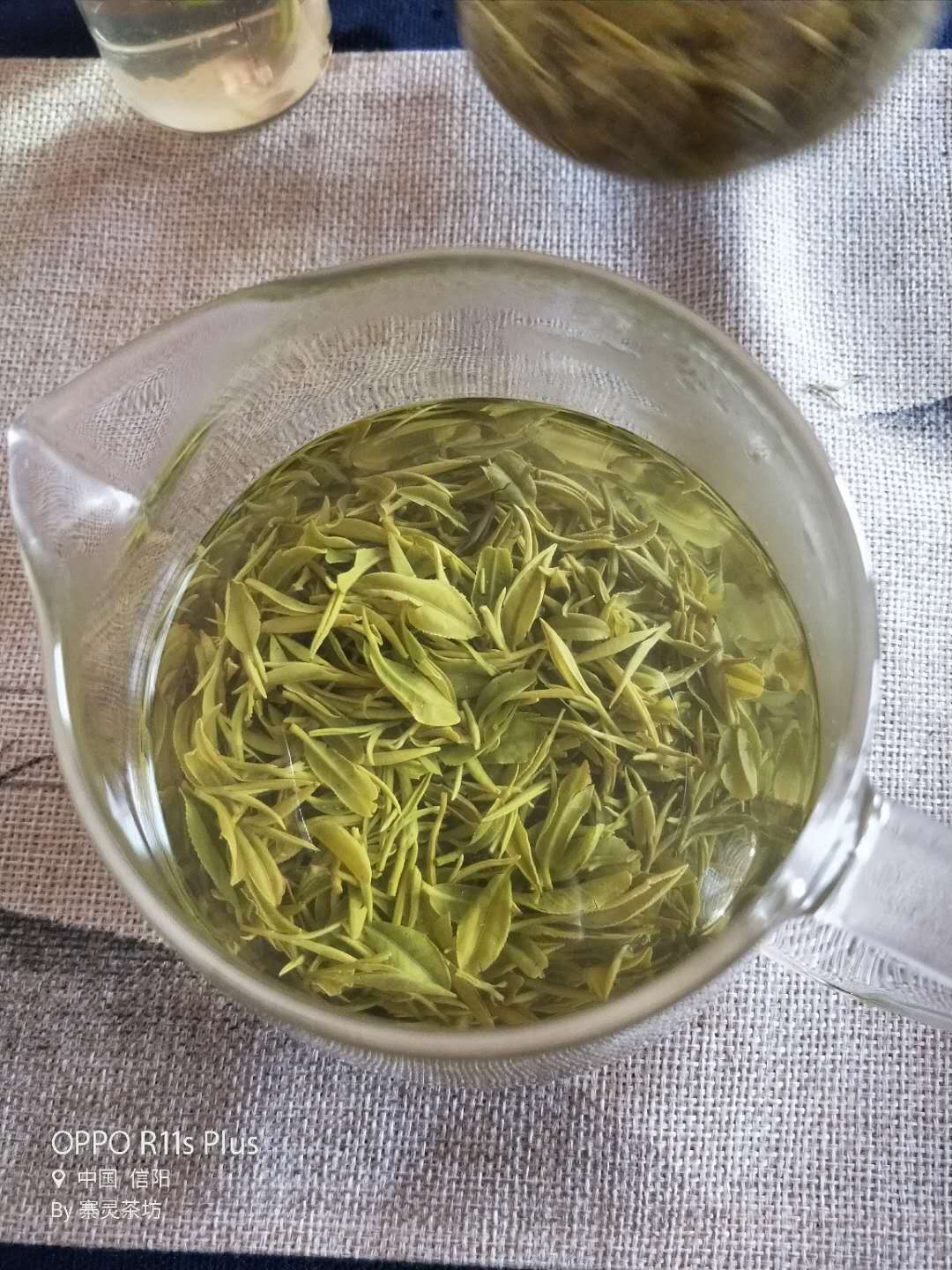 信阳毛尖深度好文——一个资深茶客谈论信阳毛尖内幕