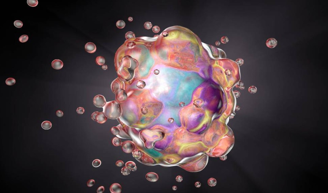 干燥剂引发的问题,干燥剂哪种是有毒的