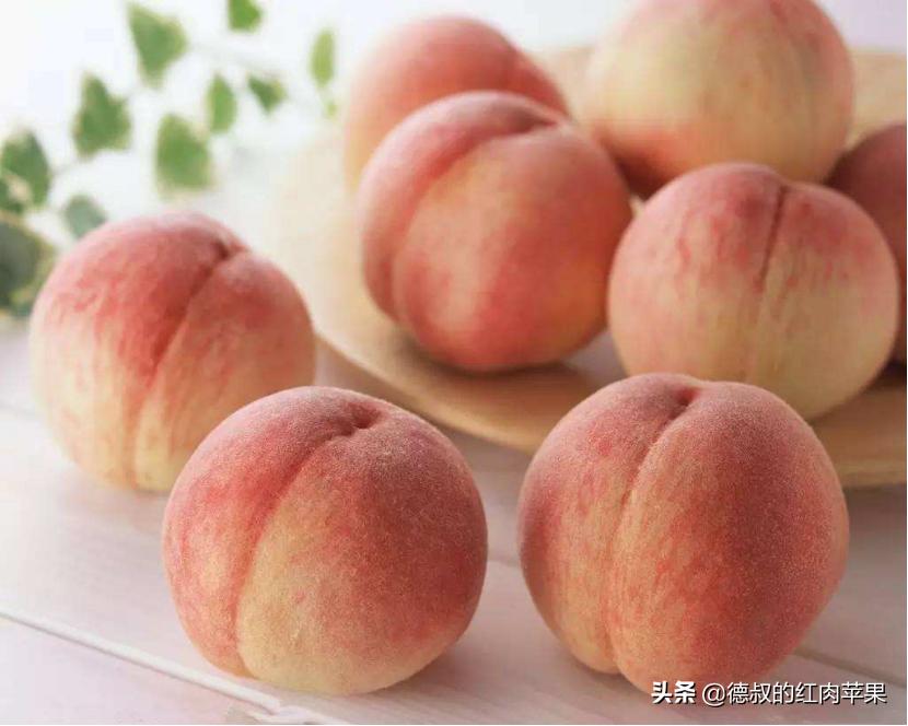 上枝桃和下枝桃怎样区别,怎样辨别观赏桃树与食用桃