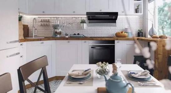 帅康硬实力,帅康现在怎样了