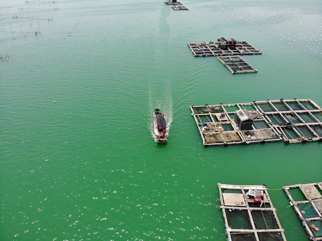 南澳岛看海完整版,南澳岛看海解读