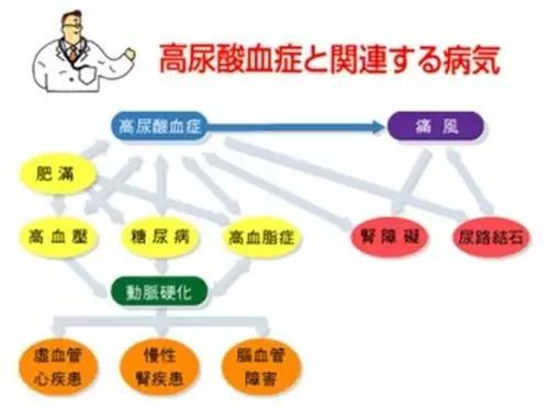 葵花盘小分子肽对痛风有效吗,小分子肽可以治疗痛风吗