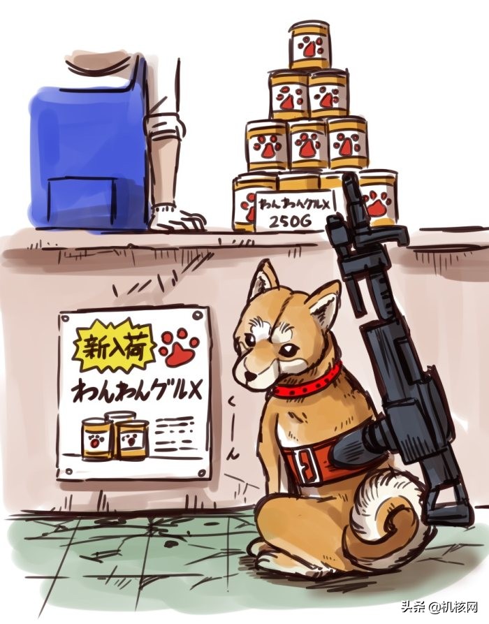 重装机兵波奇的装备,重装机兵波奇怎么获得