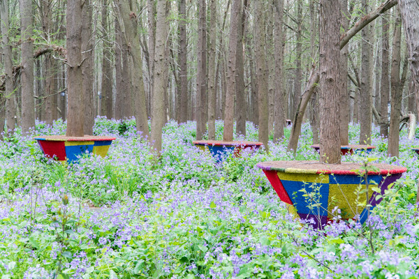踏春赏花拍美景,踏春赏花逛湖