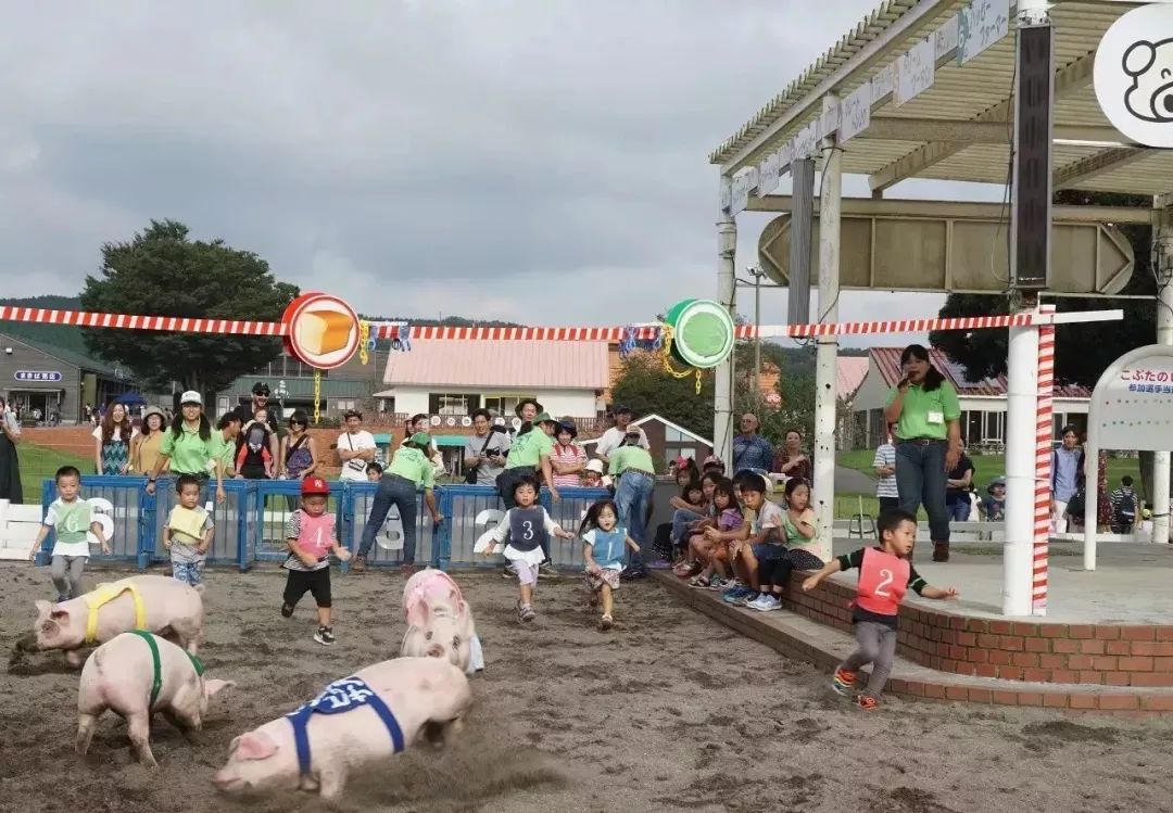 日本母亲农场项目,日本一个亲子农场年赚3亿