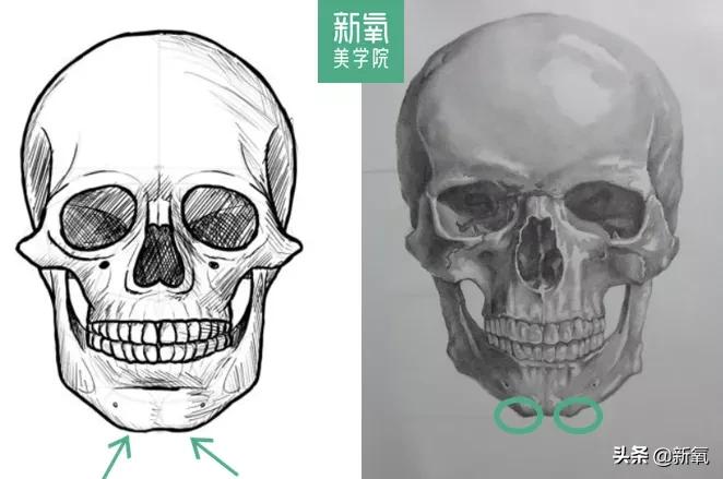 二次元和三次元的区别视频,二次元脸的颜色是什么
