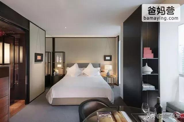 上海可带宠物入住的酒店推荐,怎么选宠物友好酒店房间