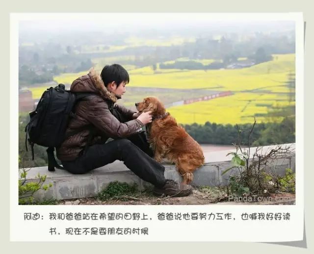 用动物做品牌宣传要版权吗,人工制作小动物宣传