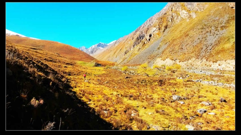 带上UL从狼塔C回家