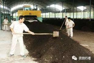 鸡粪不发酵直接上地里的危害,没发酵的鸡粪有什么危害