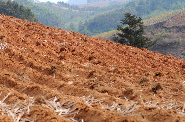 鱼卵水质变浑浊用管理吗,鱼卵越来越少怎么办