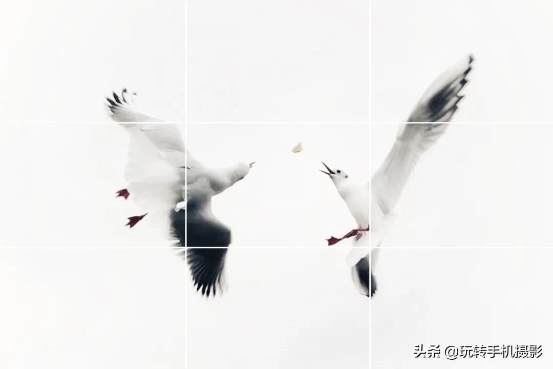 手机拍照功能应用技巧,手机拍照辅助神器