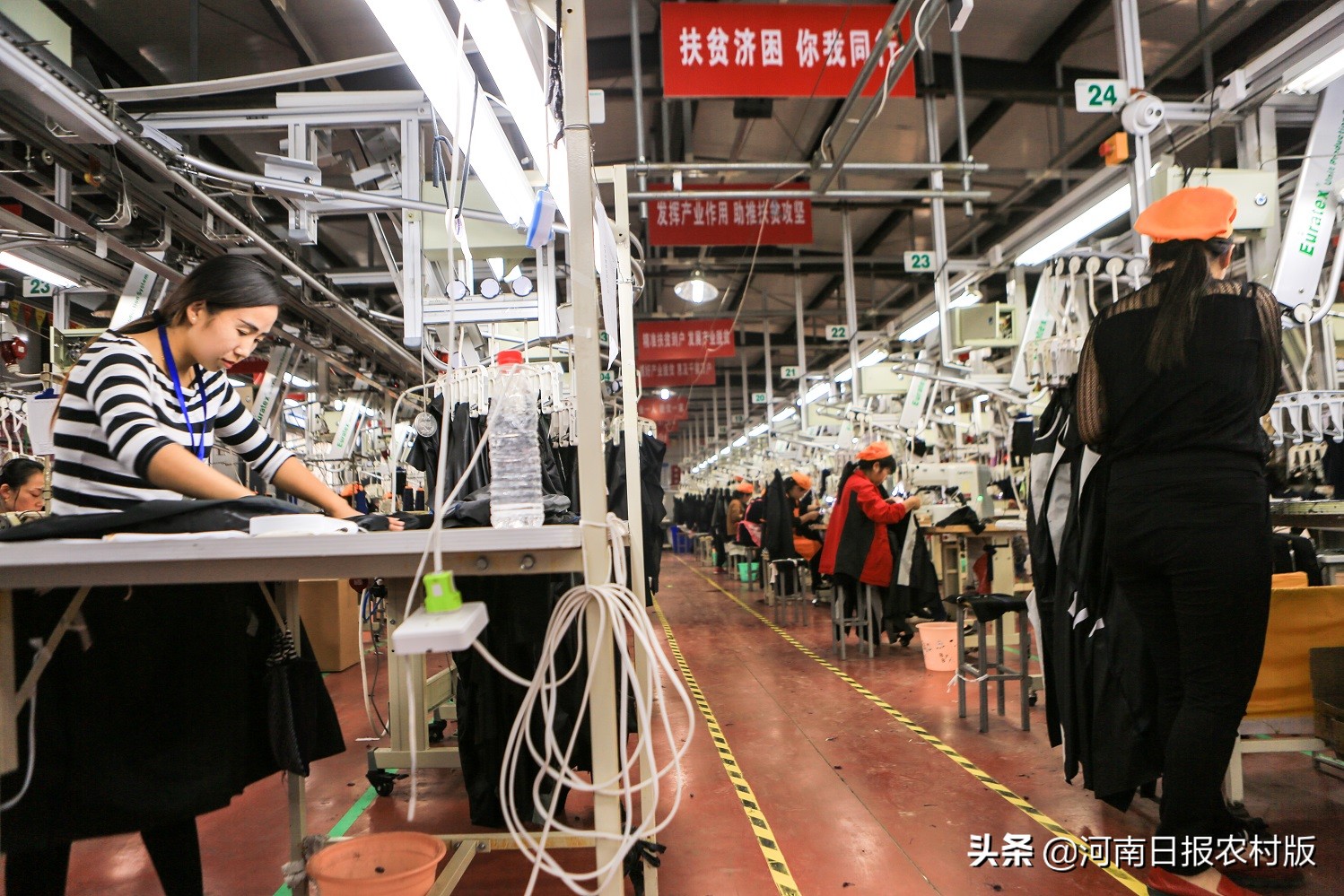 滑县产业扶贫实现四有目标：县有带贫龙头企业、乡有扶贫产业园区、村有产业帮扶基地、户有增收致富门路