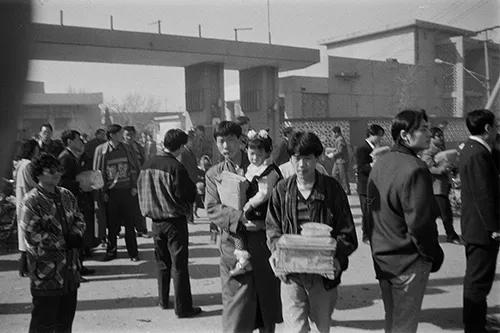 津门网邵雅杰：九十年代汉沽人这样过清明节