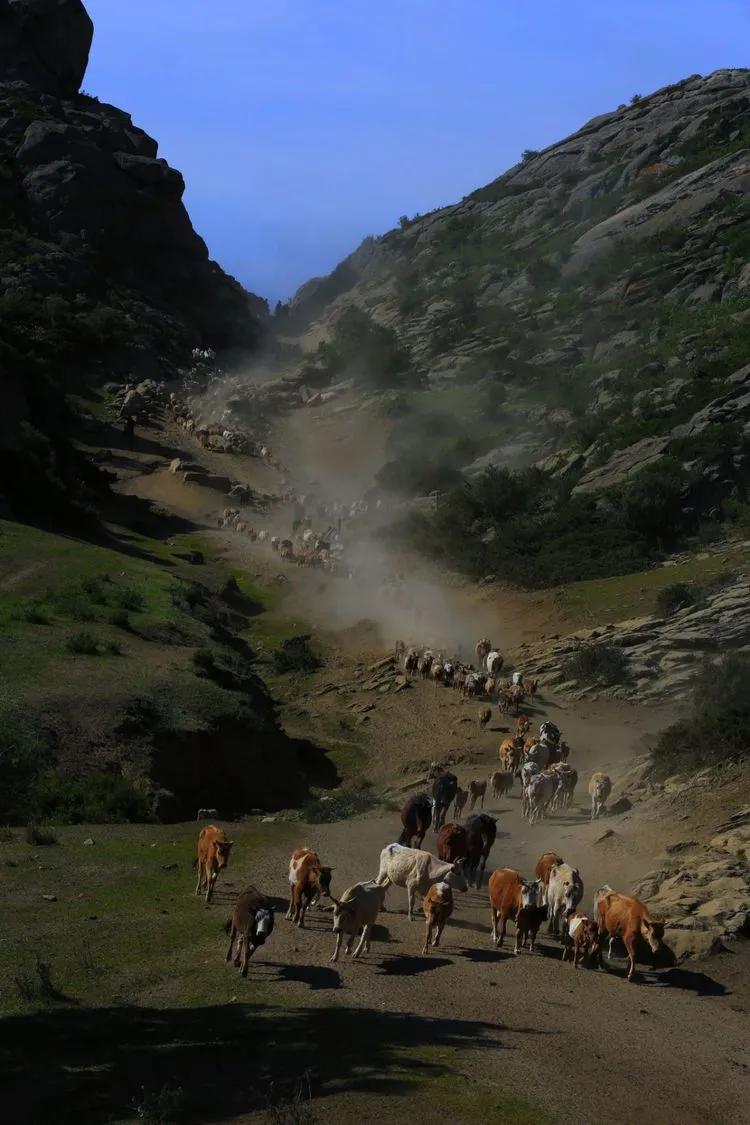 迁徙的家园，马背上的诗