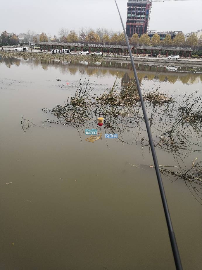 传统钓鱼竿怎么选择品牌型号,各种传统钓鱼竿测评