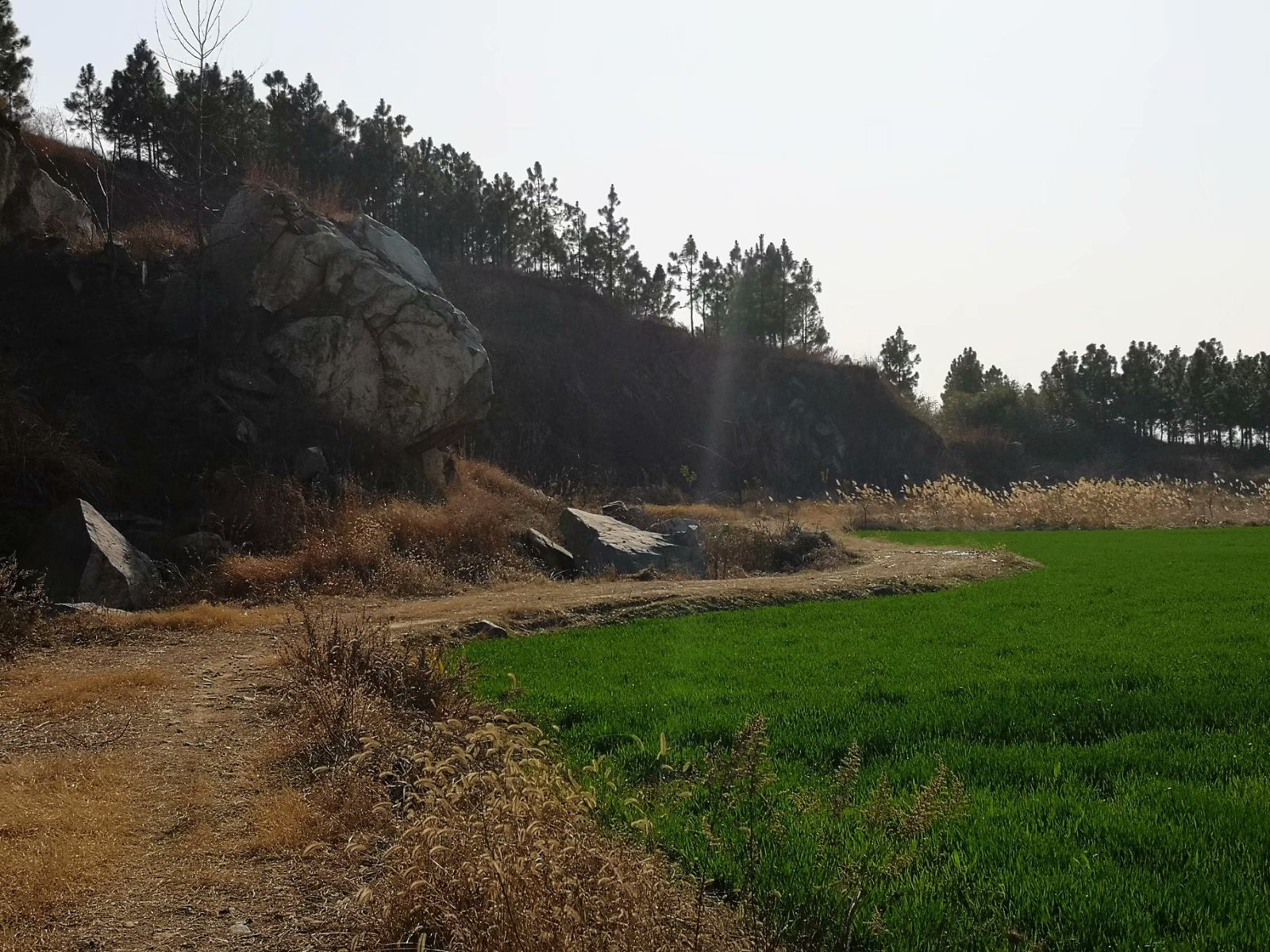 摩托周边旮旯游——探访蚌埠李楼鲁山寺遗址（上）