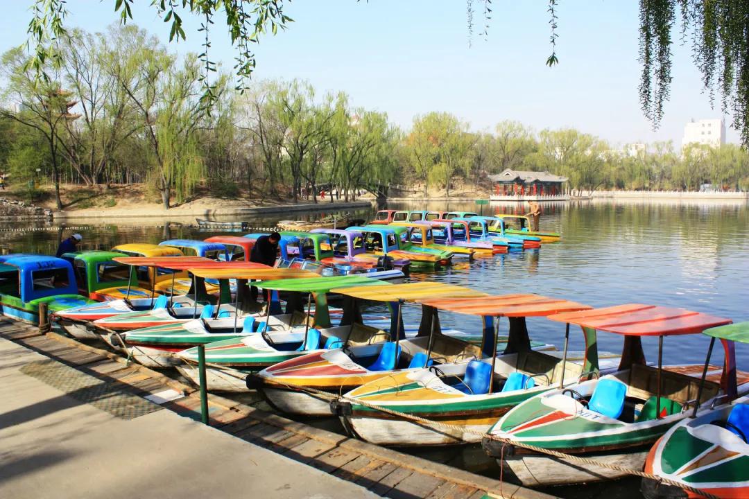 Co客领地｜奇趣潮玩季—东山湖温泉度假村之旅火热招募中