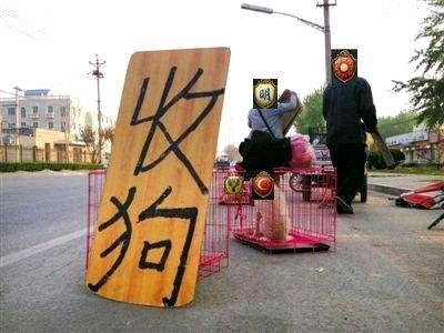 骑砍21.2.0版本mod推荐,新版本骑砍mod