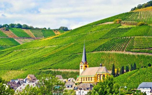 甜*党**福利——卡洛琳城堡贵腐甜白葡萄酒