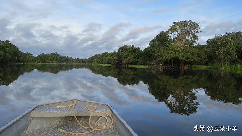 亚马逊河流最恐怖生物,亚马逊恐怖巨型生物