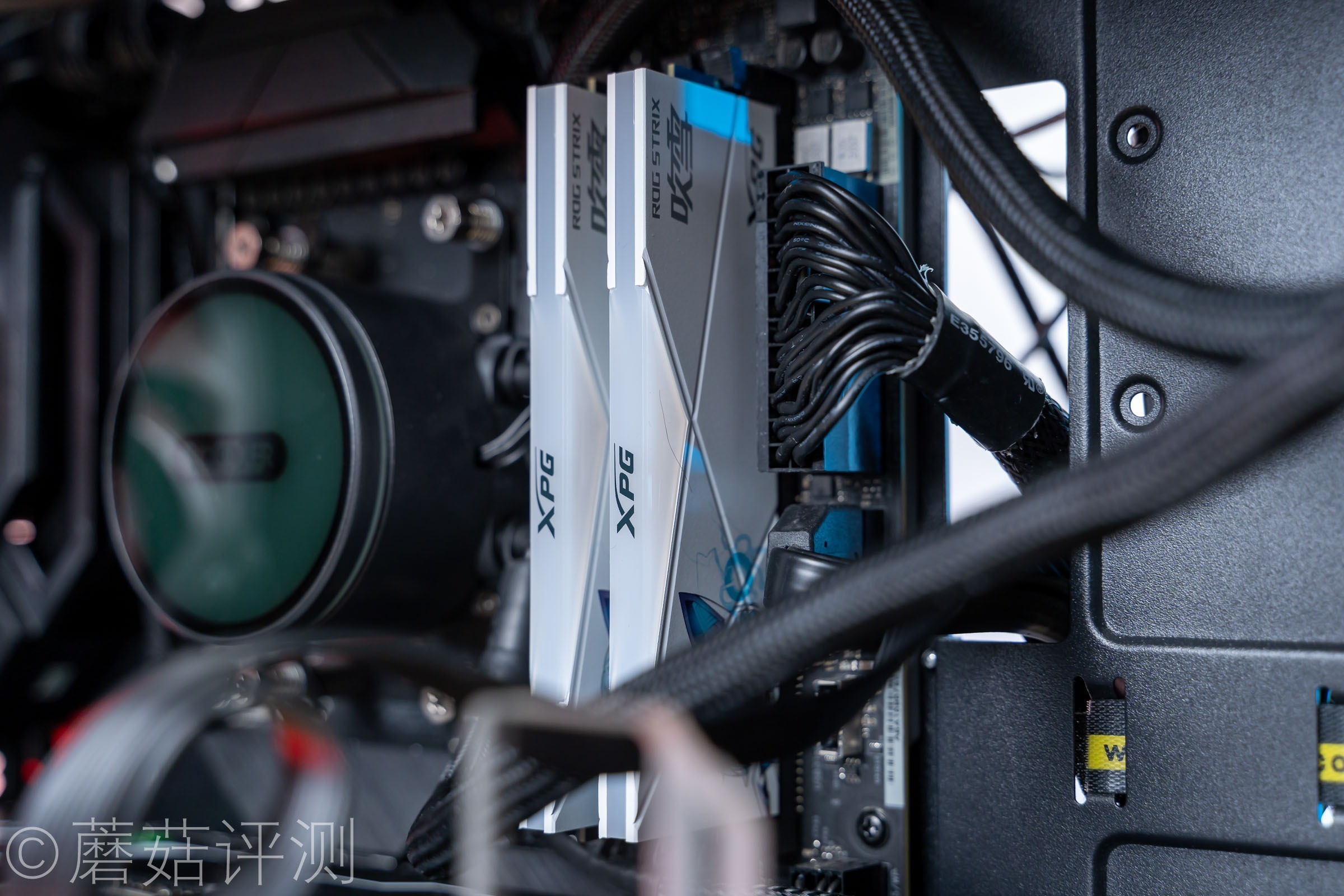 威刚龙耀d50吹雪联名用的什么颗粒,龙耀d50吹雪和普通版有什么区别