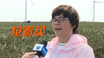 鑿犺悵鑿犺悵鑿犺悵鑿犺悵鑿犺悵,寰愰椈鑿犺悵浜戝崡鑿犺悵娴峰崡鑿犺悵鍖哄埆