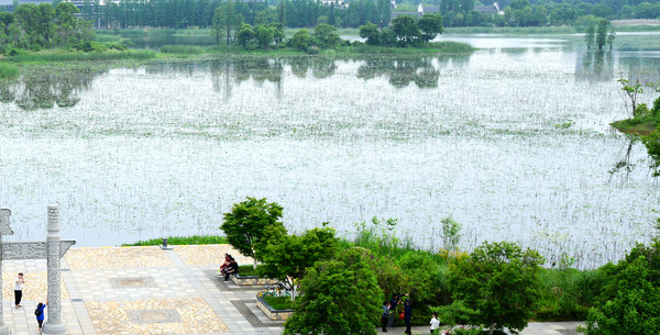 南昌动物园哪里有大象,南昌大象公园