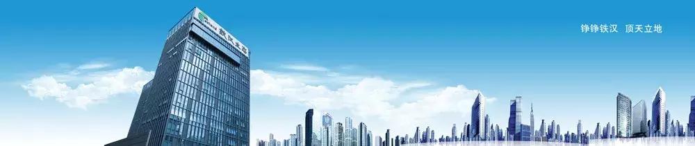 园林绿化工程企业20强,中国园林景观公司前100排名