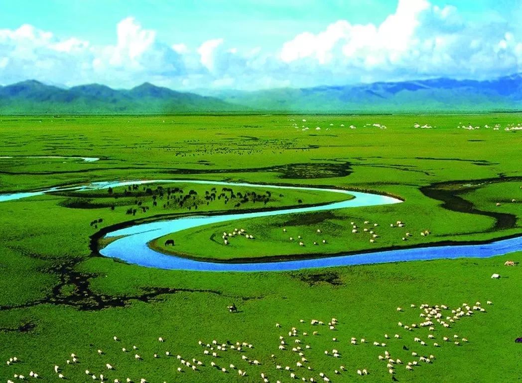 若诗若画若尔盖美景,若诗若画若尔盖文案