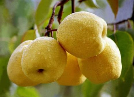 上火了怎么办吃什么水果降火快,上火怎么办吃啥能消火