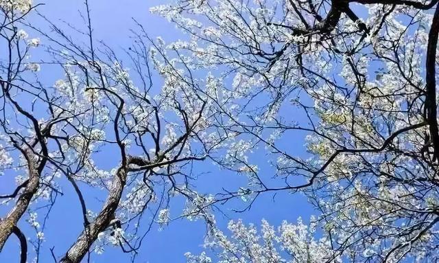 邂逅最美梯田,邂逅中国美景