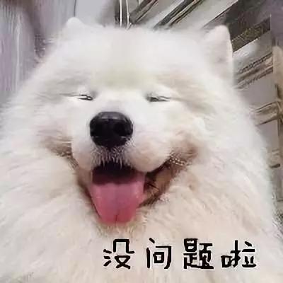 一打雷我家狗狗就焦躁不安,打雷狗狗受了惊吓怎么办