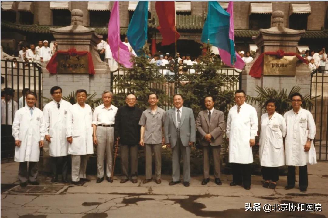 苏萌抗日二十六载,苏萌抗战三十年