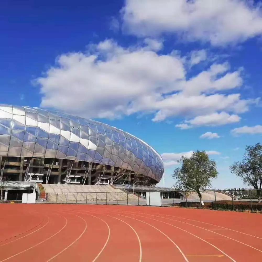 世俱杯奥体中心改造足球场,世俱杯广州奥体改造专业足球场