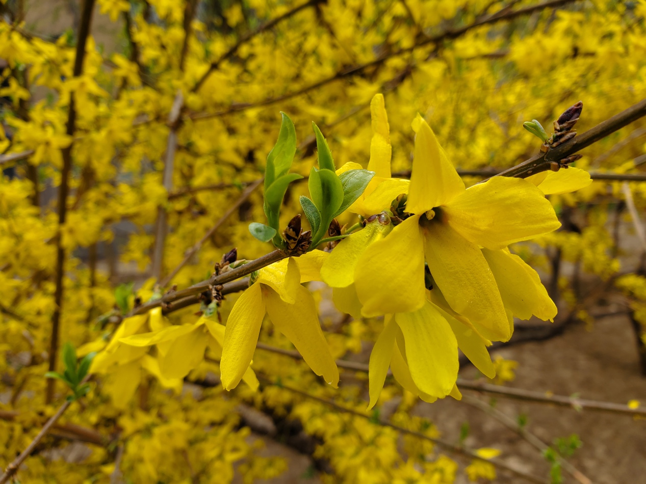 最容易被忽视的外设,容易被忽视的三星