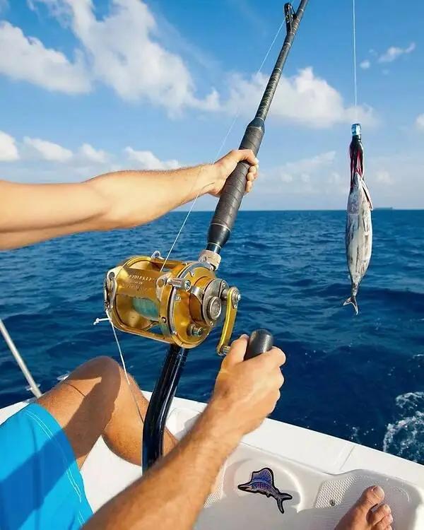 列岛之枸杞岛旅游攻略,嵊山岛枸杞岛旅游攻略