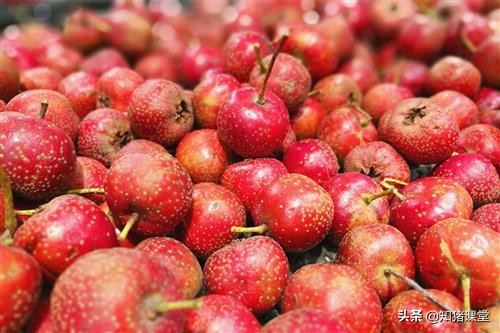 养猪户如何给猪开胃增食,猪食欲不好怎么解决