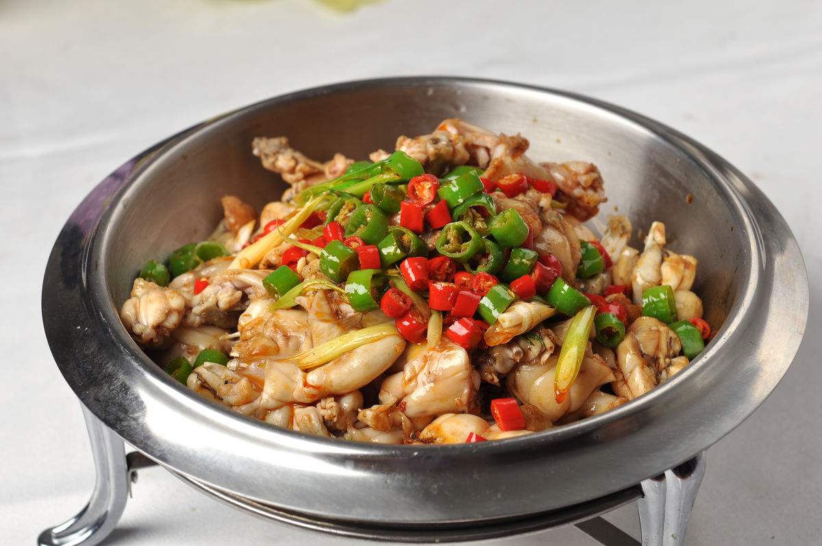 如何养殖青蛙的方法,如何养殖青蛙