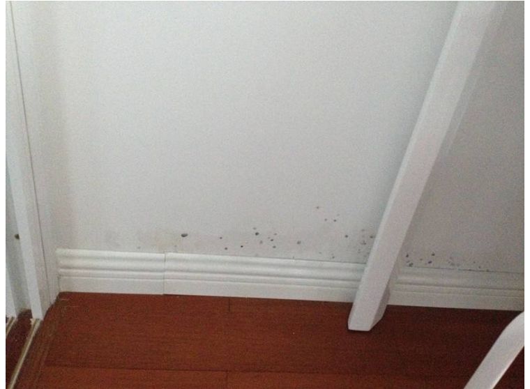 家里墙面要不要刷底漆,家里墙面没有刷底漆怎么补救