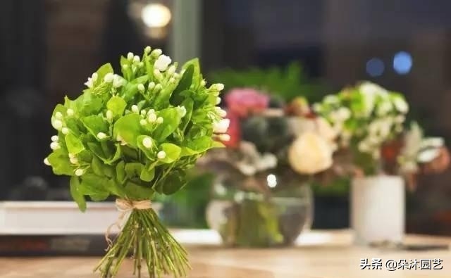 鲜花扎花束教程,手把手教你螺旋花束扎法