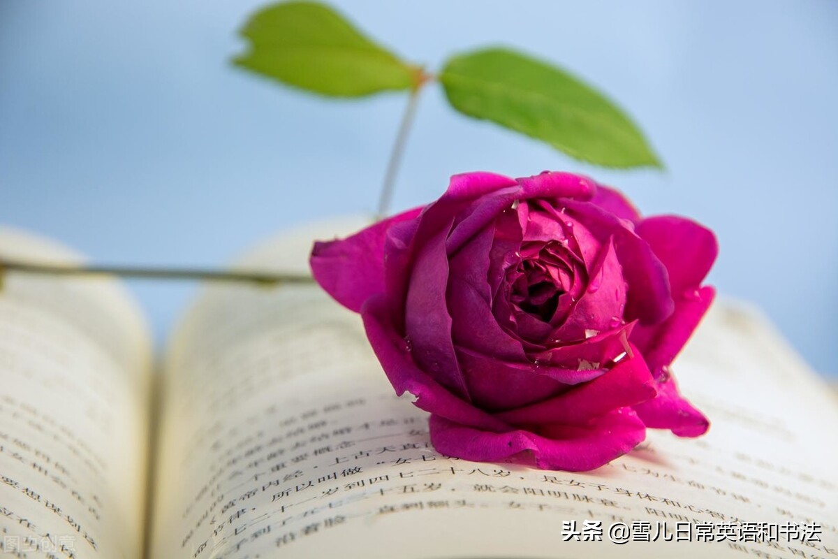 有什么东西是不能退货的,有些东西是不能还价的