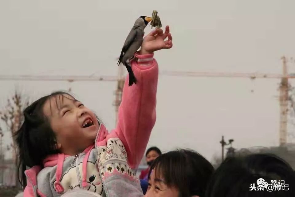 皇城根脚下，那是开封大爷遛鸟的天地