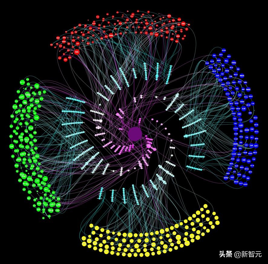 人才画像深度剖析,人才画像深度解析