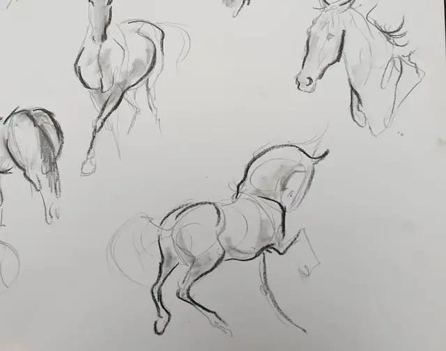 马怎么画简单图画,马怎么画更真实
