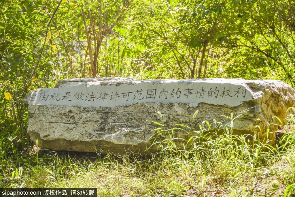 绿皮火车公园打卡景点,各种各样的免费公园