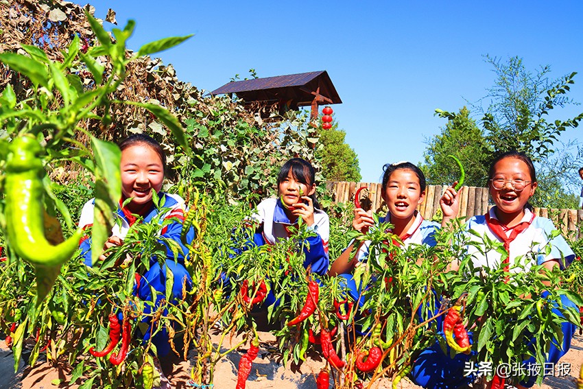 临泽板桥中心小学耕好“责任田”拓展教育新空间